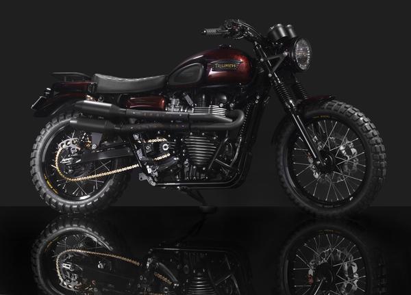 LOSSA-2013-Triumph-Scrambler-CustomBike-1.jpg