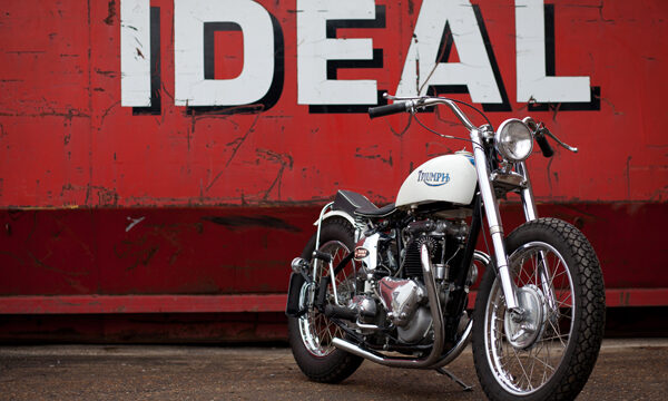 The Baron's Speed Shop, Stray Cat