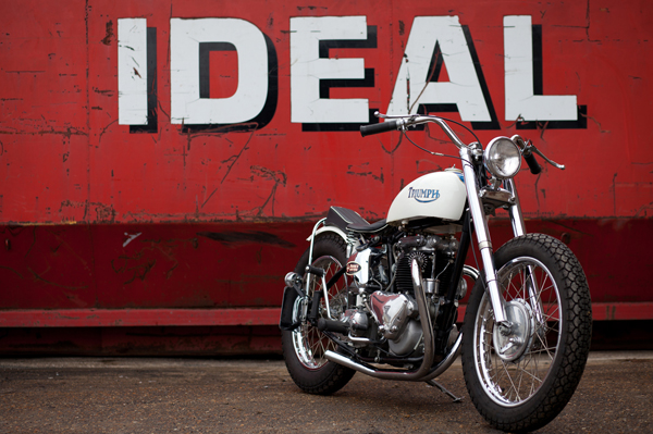 The Baron's Speed Shop, Stray Cat